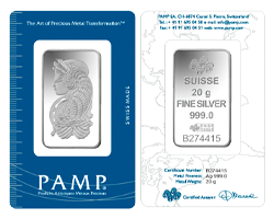 20g Silver Bars