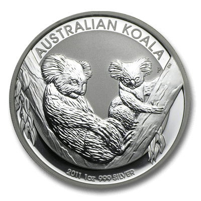 Australian Koala Front