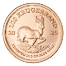 2025 1/10oz Gold Krugerrand | South African Mint