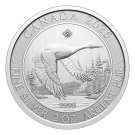 2025 Silver 2oz Canada Goose Coin | Royal Canadian Mint