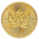 2026 1oz Gold Maple Coin | Royal Canadian Mint