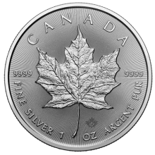 2024 1oz Silver Maple Coin | Royal Canadian Mint 