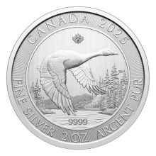 2025 Silver 2oz Canada Goose Coin | Royal Canadian Mint